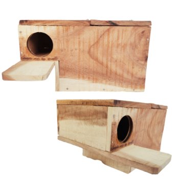 Lovebirds nest box for sale hotsell