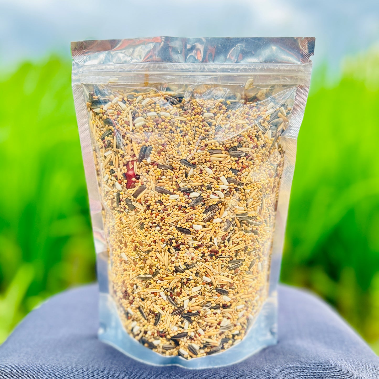 Premium Quality Love Bird Seed Love Bird Mix Seed 400gm