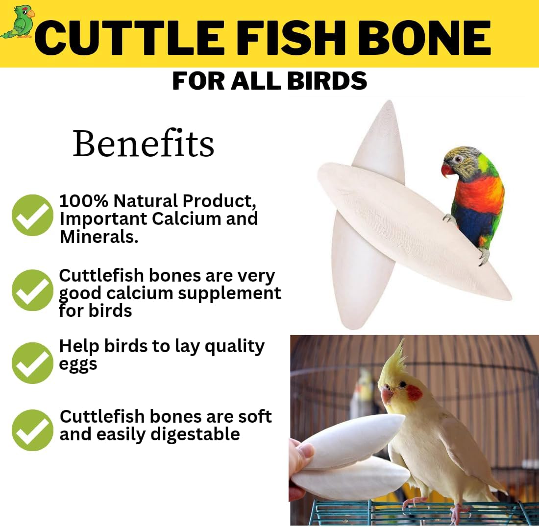 Cuttlefish Bone/Cuttlebone Bird Calcium for All Birds/Cuttlefish Bone for Birds/Bird Feed/High Calcium for Finches, Budgies, Conures, Lovebirds,pet Feeds(200g)