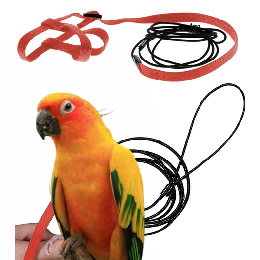 Sun Conure Bird Harness Adjustable Durable Reusable Safe Great for Training, Exercise & Playing