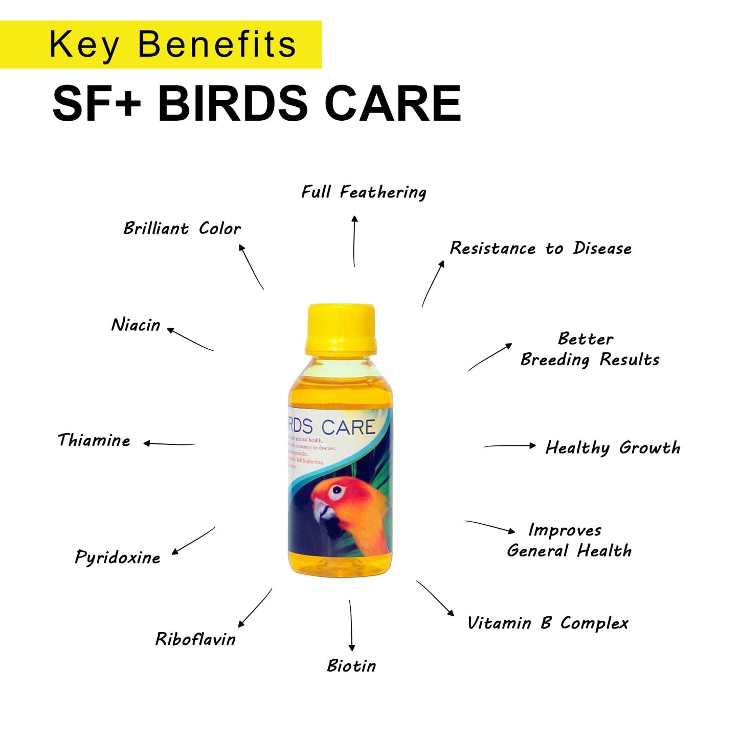 SF+ Twin Pack Bird Booster(50gm) + Bird Care (60ml),Healthy Supplement Fortified With Vitamins For Energy, Growth, Production of Haemoglobin, Balanc