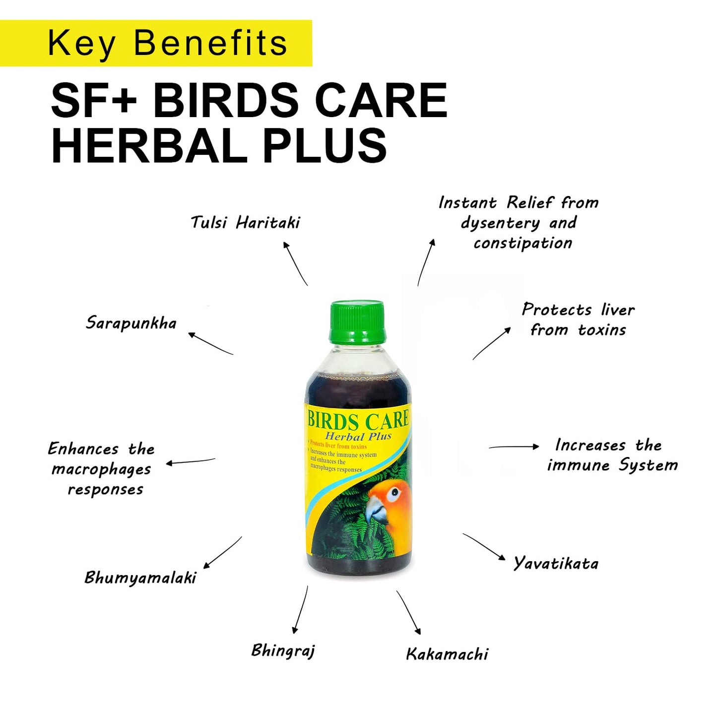 100ml STAR FARMS Herbal Plus Tonic Suitable for All Birds Protects Liver from Toxins, Increase The Immune System