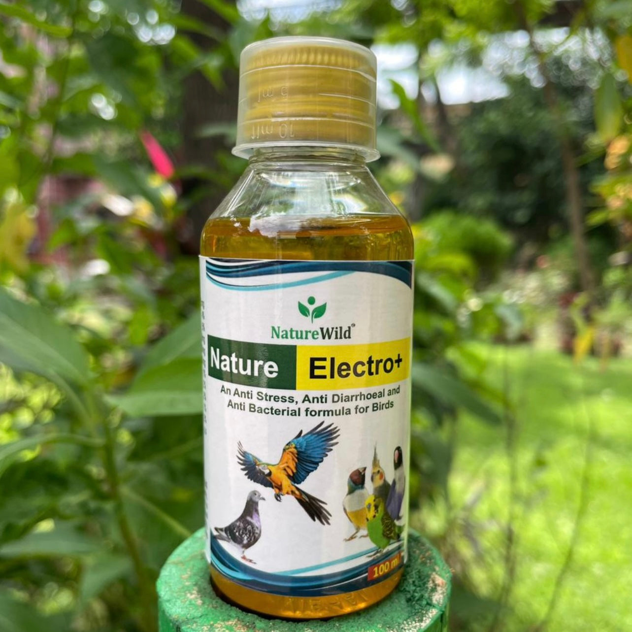 Nature Electro Plus,Anti Stress, Anti Diarrhoeal and Anti Bacterial formula for Birds & Pigeon