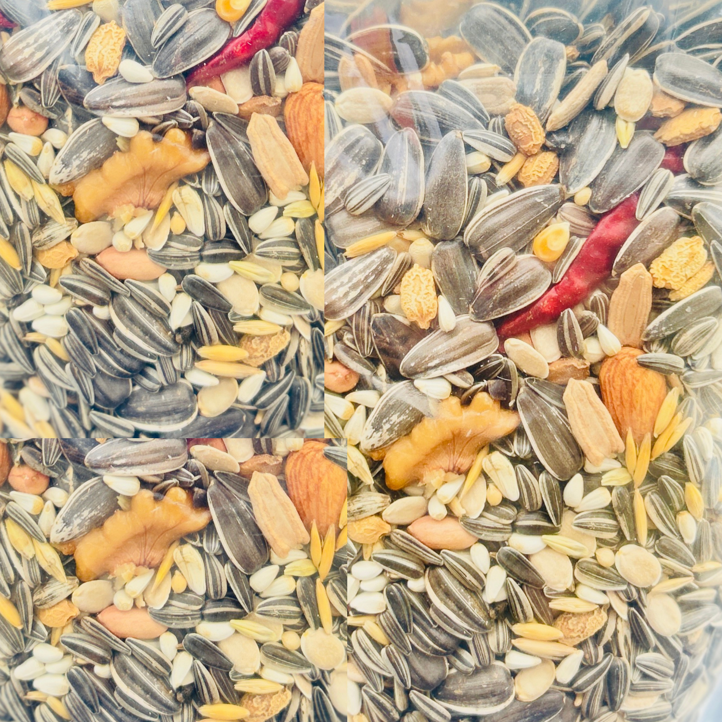 Premium Seed Mix for Conure Bird.Sun Conure, Pineapple Conure & Other Conure Group 400gm