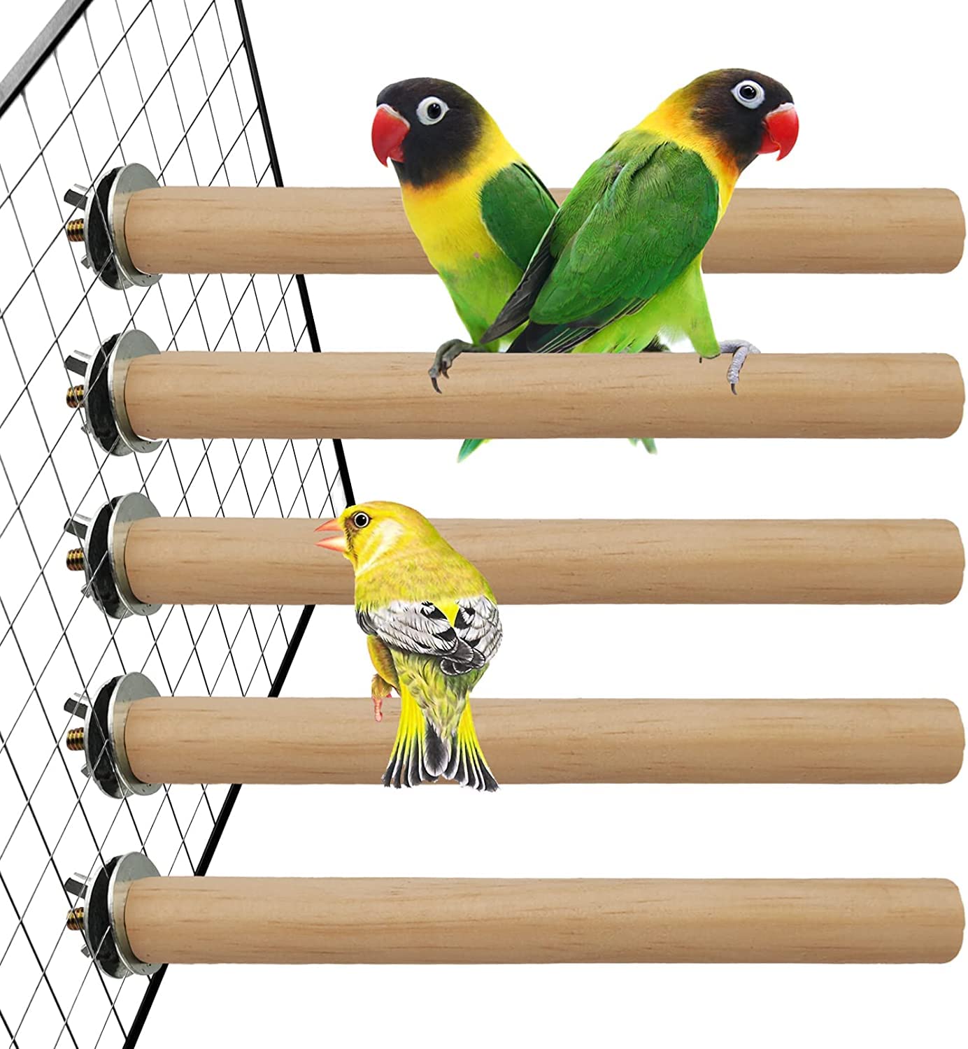 Parrot Bird Perch Table Top Stand Metal store Wood 2 Steel Cups Play for Medium