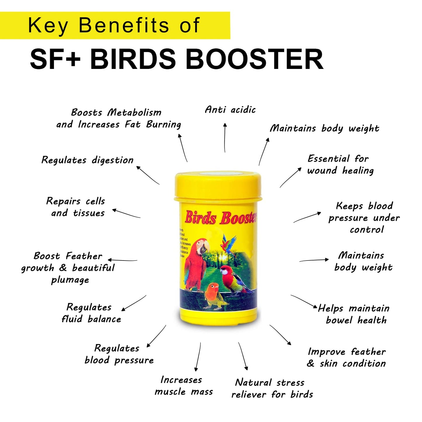 SF+ Twin Pack Bird Booster(50gm) + Bird Care (60ml),Healthy Supplement Fortified With Vitamins For Energy, Growth, Production of Haemoglobin, Balanc