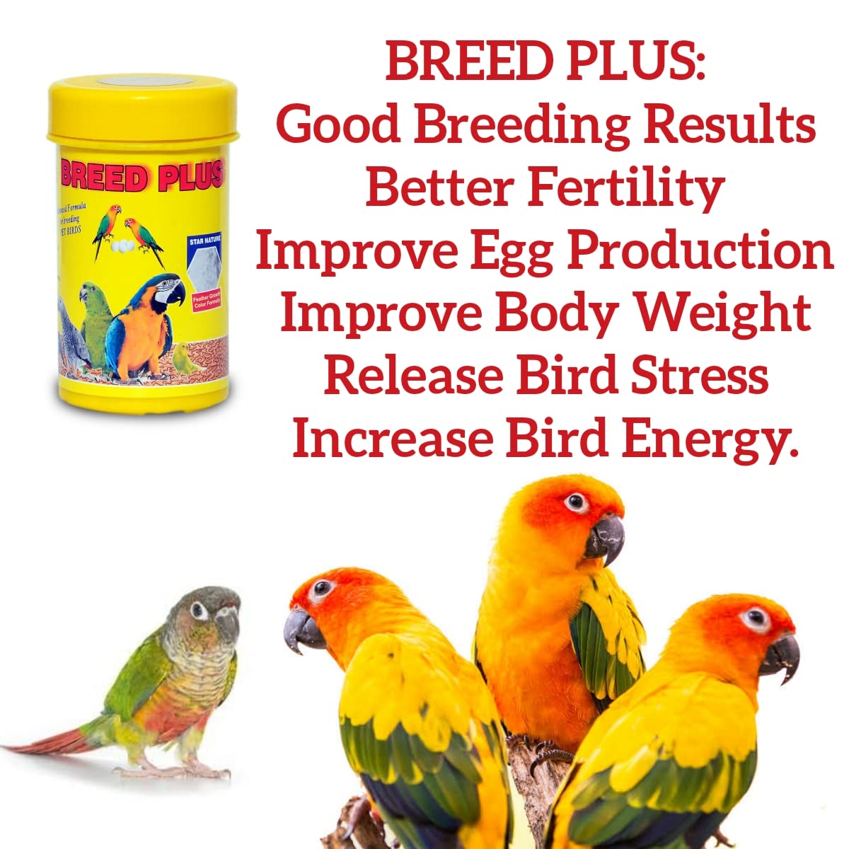 Star Farms Breed Plus 50g Suitable for All Birds Better Fertility, Improves Egg Production