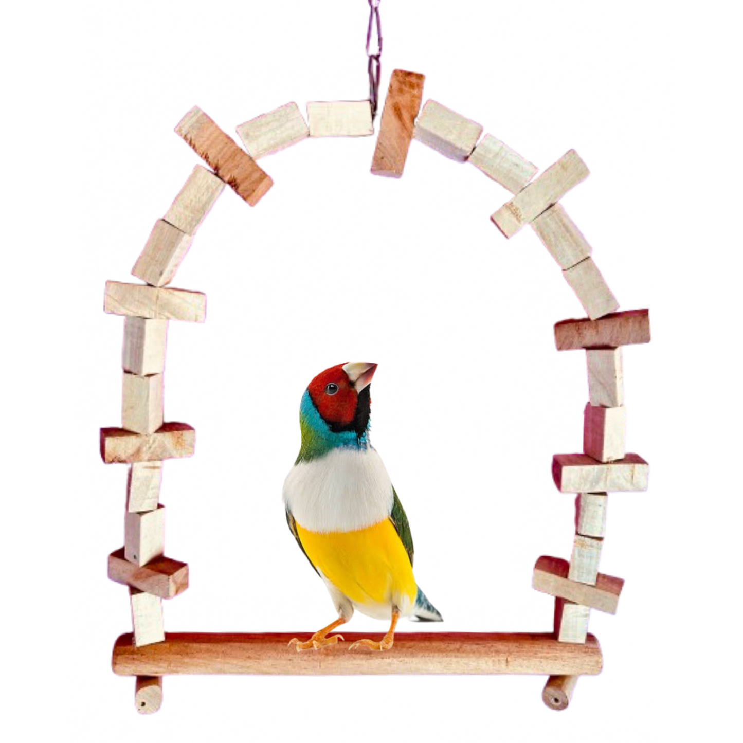 12x12 Inch Wooden Decorative Swing Toy for African Grey, Cockatoos, Amazon, and Other Birds