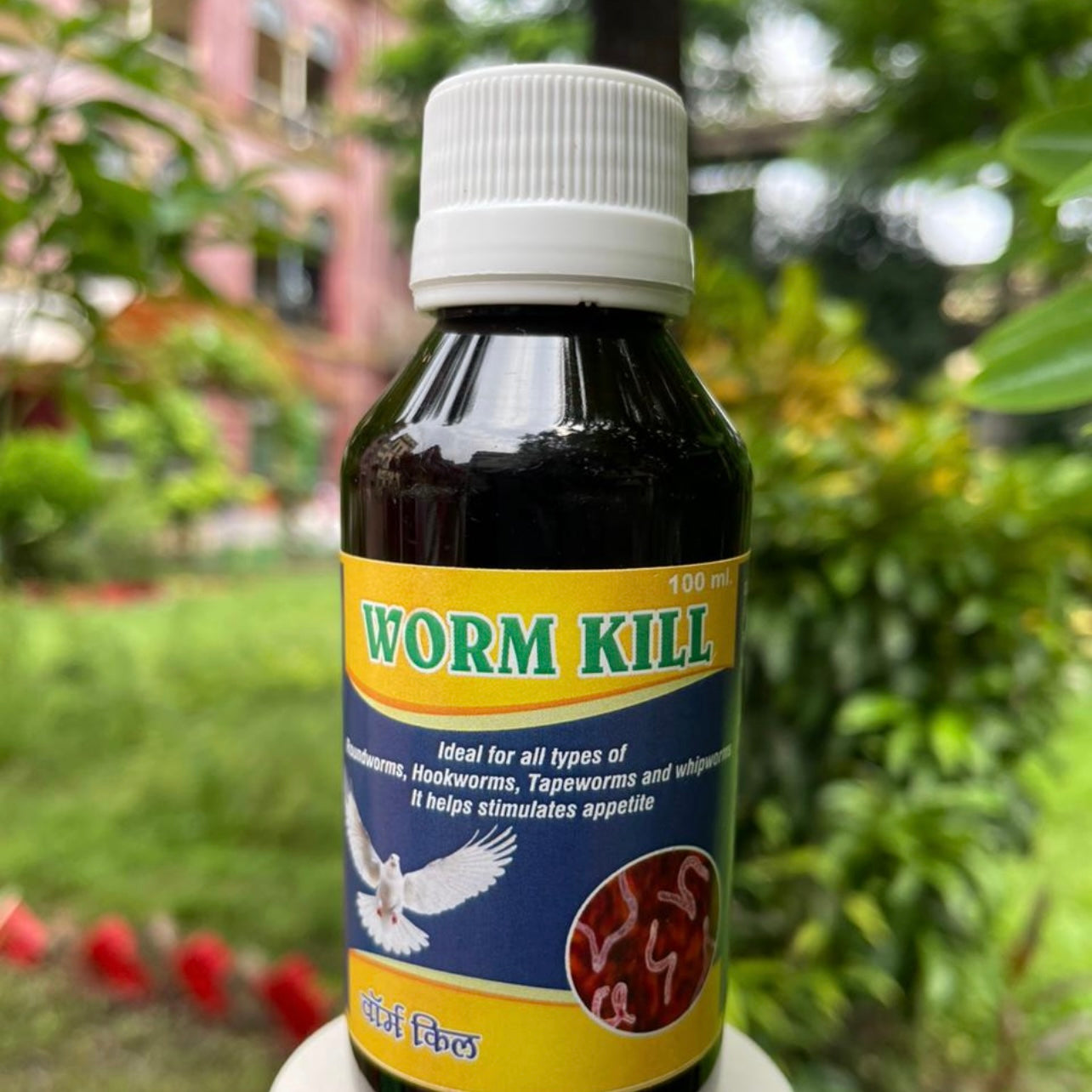 Worm Kill Dewormer for Birds & Pigeons - Effective Against Roundworms, Hookworms & Tapeworms - Appetite Booster (100ml)