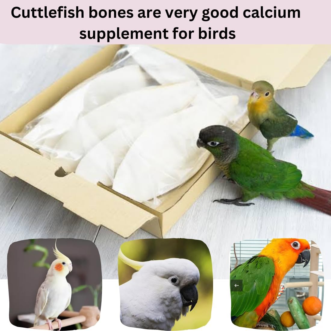 Cuttlefish Bone/Cuttlebone Bird Calcium for All Birds/Cuttlefish Bone for Birds/Bird Feed/High Calcium for Finches, Budgies, Conures, Lovebirds,pet Feeds(200g)