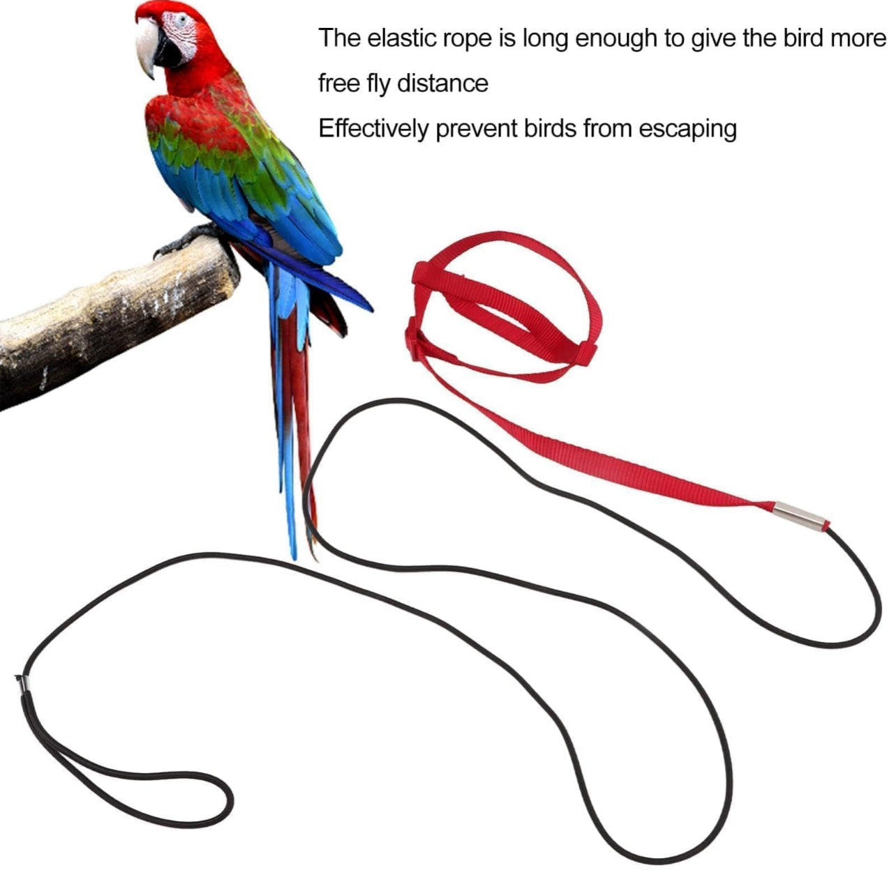 Bird Harness Adjustable Durable Reusable Safe Great for Training, Exercise & Playing for Large Macaw, Triton, Small Moluccan (Random) (Large)