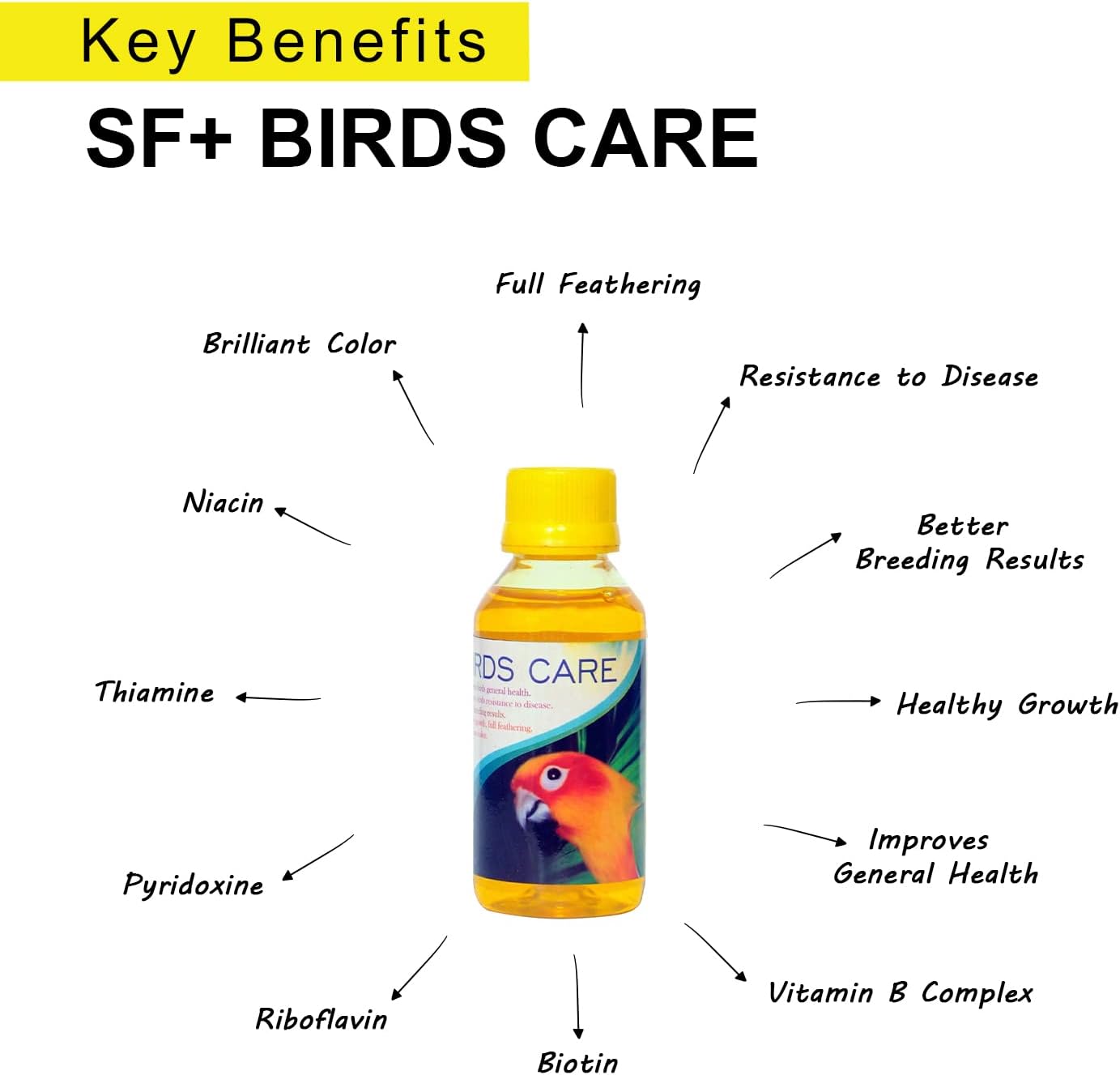 SF+ 3in1 Pack Herbal Plus, Birds Care, Calci+ Health Supplement for Birds, Assist in Growth, Production of Haemoglobin, and Assist in Adds Brilliant Color + Full Feathering for All Birds ( All 100ml )