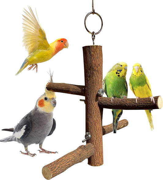 4-Perch Hanging Toy Stand for Parakeets, Budgies, Lovebirds, Cockatiels, and Conures – Ideal Bird Perch Playstand ( 1 Piece )