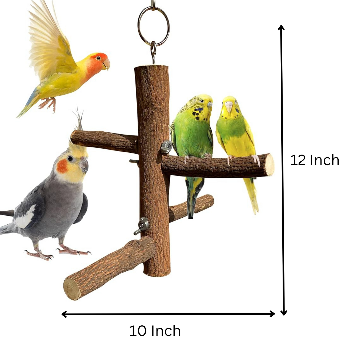 4-Perch Hanging Toy Stand for Parakeets, Budgies, Lovebirds, Cockatiels, and Conures – Ideal Bird Perch Playstand ( 1 Piece )