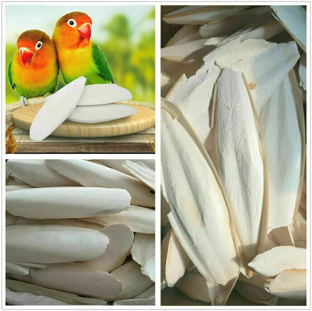 Cuttlefish Bone/Cuttlebone Bird Calcium for All Birds/Cuttlefish Bone for Birds/Bird Feed/High Calcium for Finches, Budgies, Conures, Lovebirds,pet Feeds(200g)