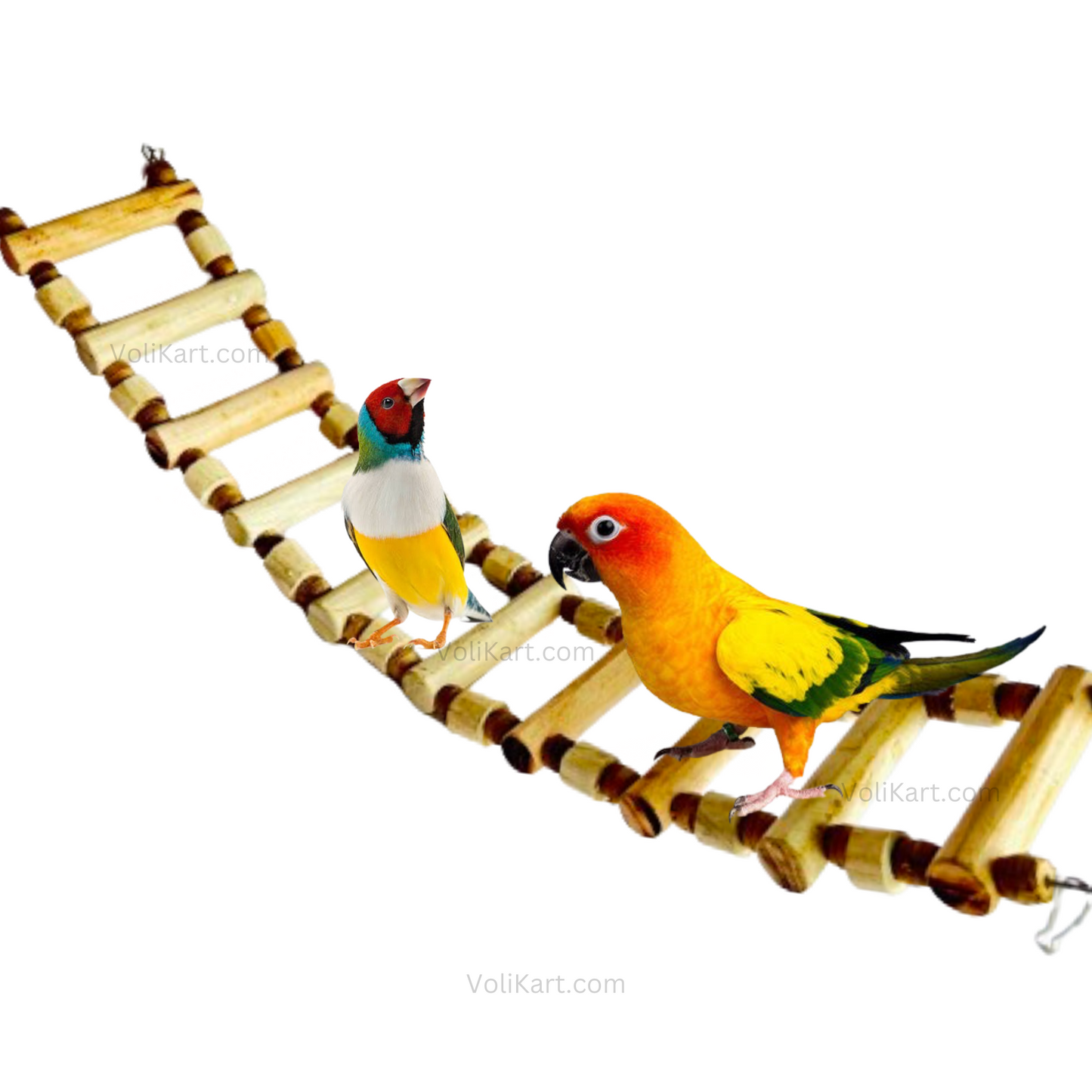 2 Feet Length Pure Neem Wood Toy for Small Macaw, African Grey, Sun Conure, and Similar Birds