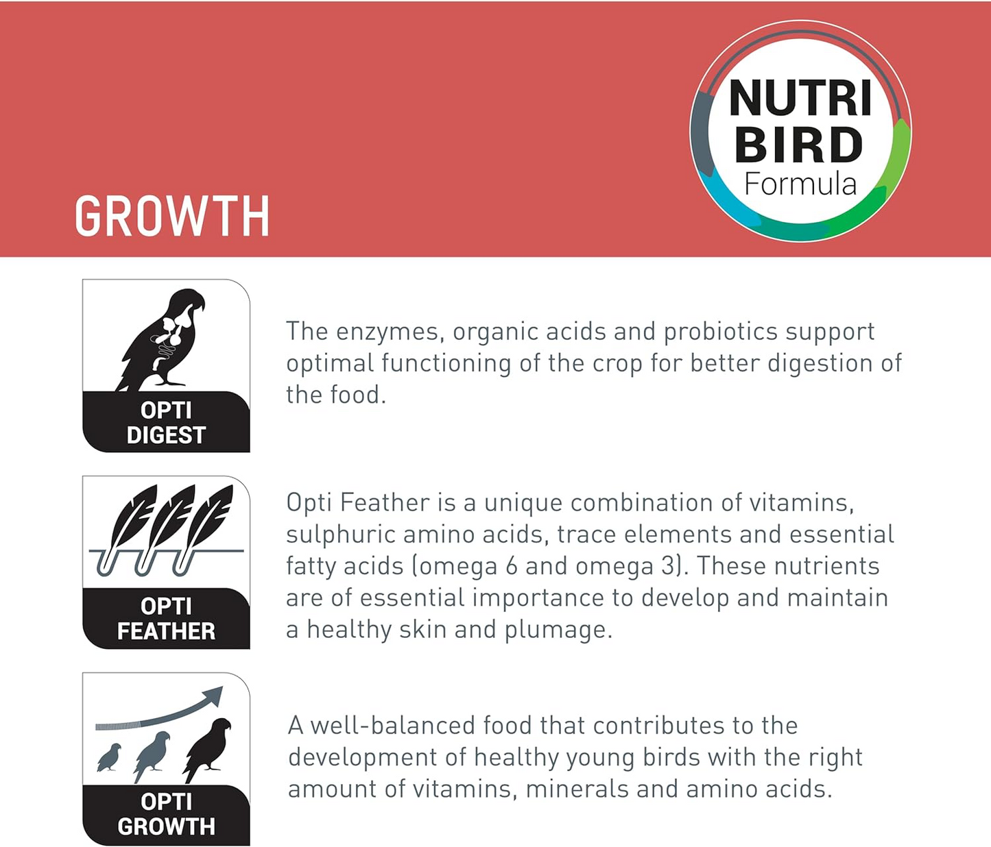 Versele-Laga Nutribird A21 Hand Feeding Food For Amazons, Cockatoos, Large Parakeets And Other Baby Birds 800Gm, Powder