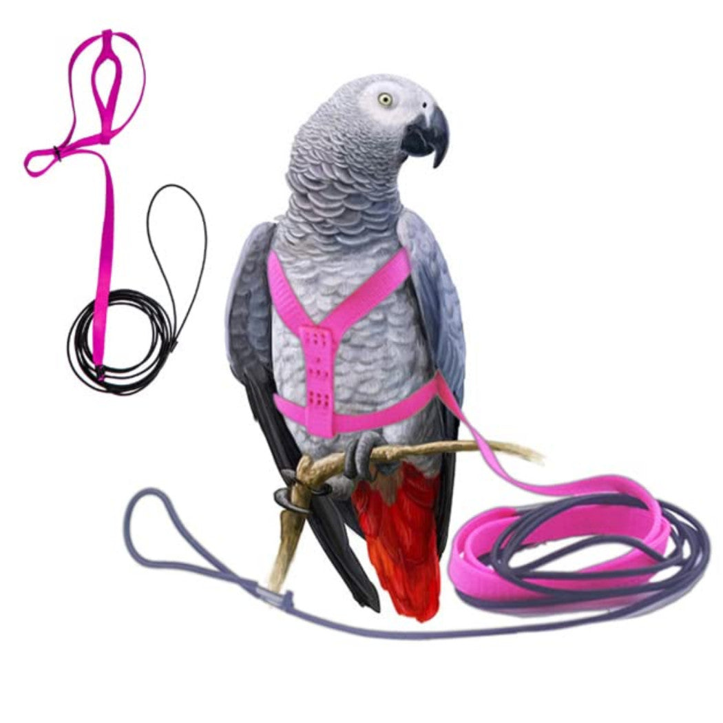 Bird Harness Adjustable Durable Reusable Safe Great for Training, Exercise & Playing for Large Macaw, Triton, Small Moluccan (Random) (Large)