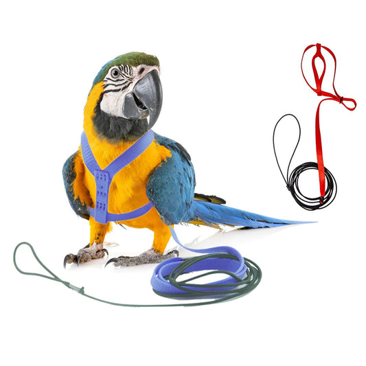 Bird Harness Adjustable Durable Reusable Safe Great for Training, Exercise & Playing for Large Macaw, Triton, Small Moluccan (Random) (Large)