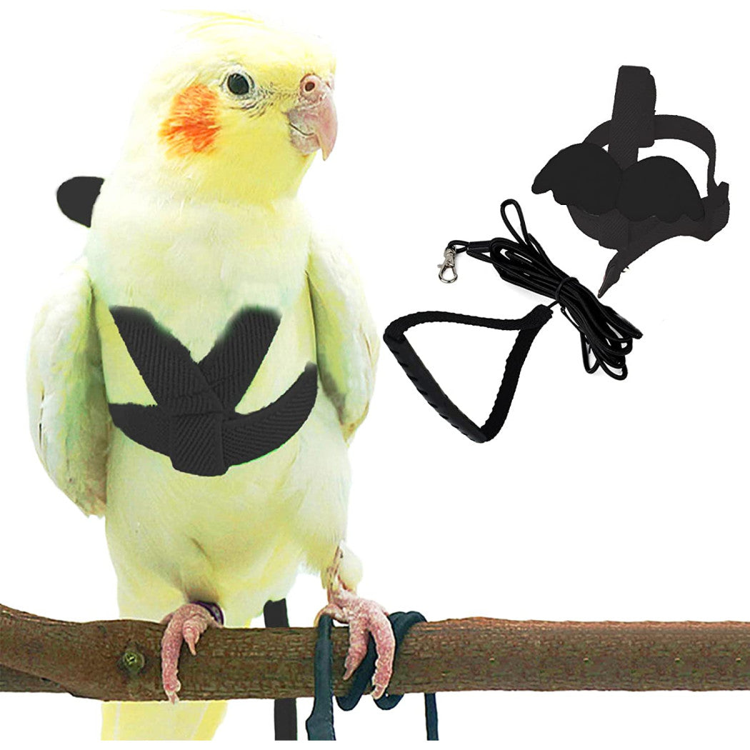 Bird Harness Adjustable Durable Reusable Safe Great for Training, Exercise & Playing for Medium & Small Size Bird Like Cockatiel,Conure & Others