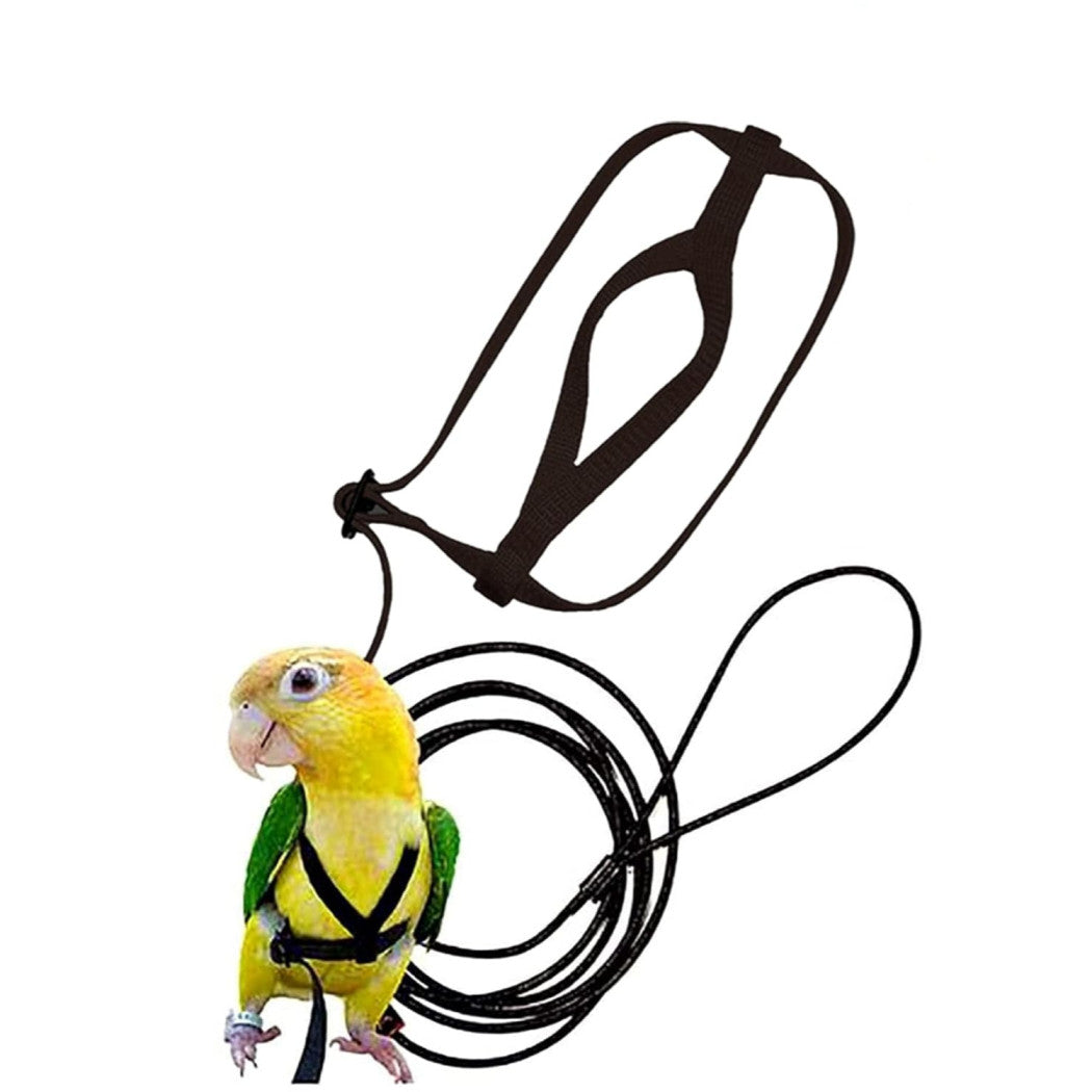 Bird Harness Adjustable Durable Reusable Safe Great for Training, Exercise & Playing for Medium & Small Size Bird Like Cockatiel,Conure & Others