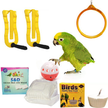 Avian Essentials Combo: Minerals, Swing Toys, Ball, and Calcium Holder for Birds