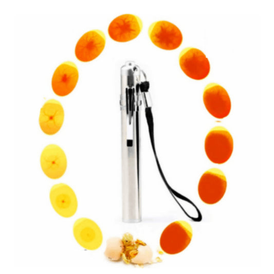 Volikart Bird Egg Fertilization Checking Torch - LED Light, Lightweight, Battery-Powered