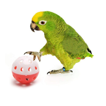 2 Pieces Bird Interactive Bell Ball, Bird Toy for Parakeet, Cockatiel, Budgerigar, Parrots, 1.5 Inches, Medium