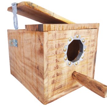 Wooden Breeding Box for Budgerigars, Java, Finches - 8 inch x 7 inch x 6.5 inch - Avian Nesting Shelter