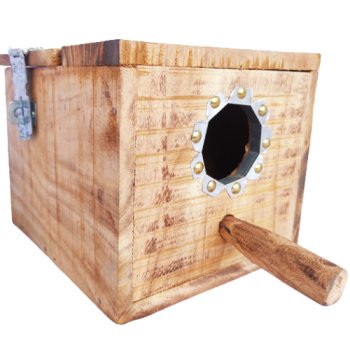 Wooden Breeding Box for Budgerigars, Java, Finches - 8 inch x 7 inch x 6.5 inch - Avian Nesting Shelter